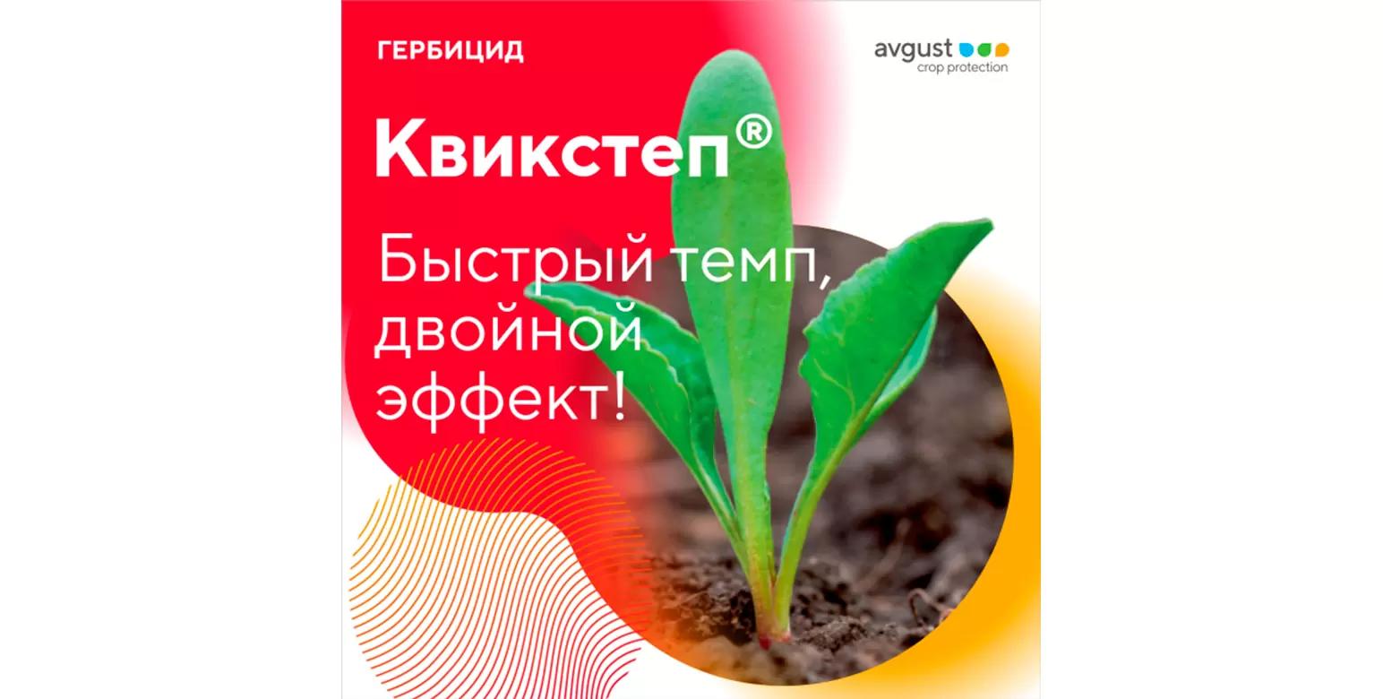 Квикстеп® – против злаковых сорняков на широколиственных культурах