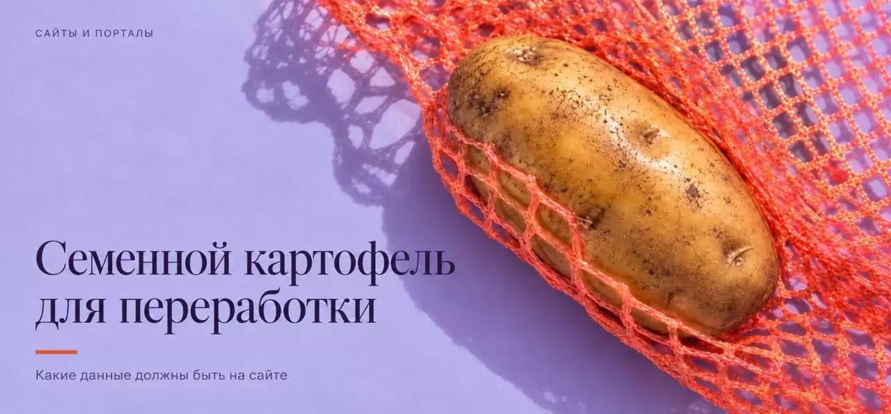 Продажа семенного картофеля переработчикам