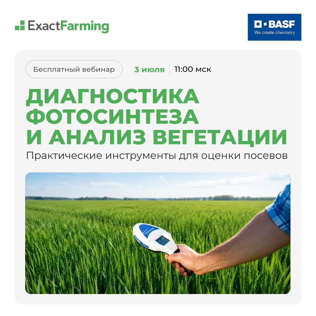 Диагностика фотосинтеза и анализ вегетации