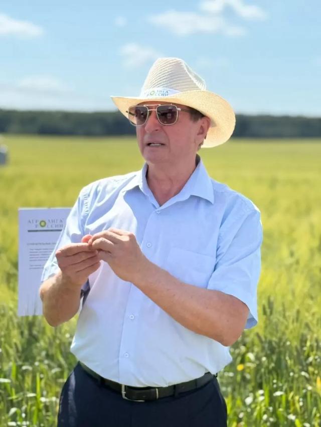 Зерно будущего: как Россия закладывает фундамент нового экспорта