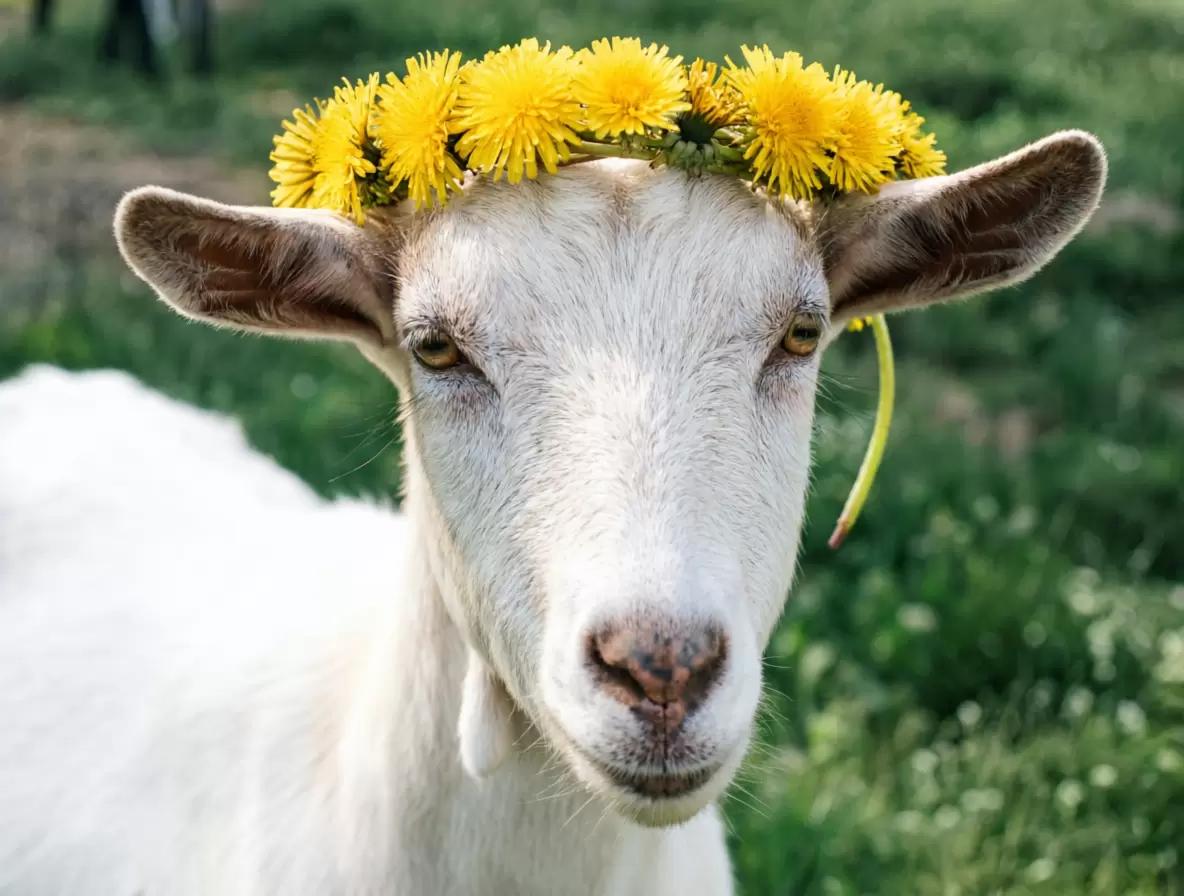 Ошибки случаются