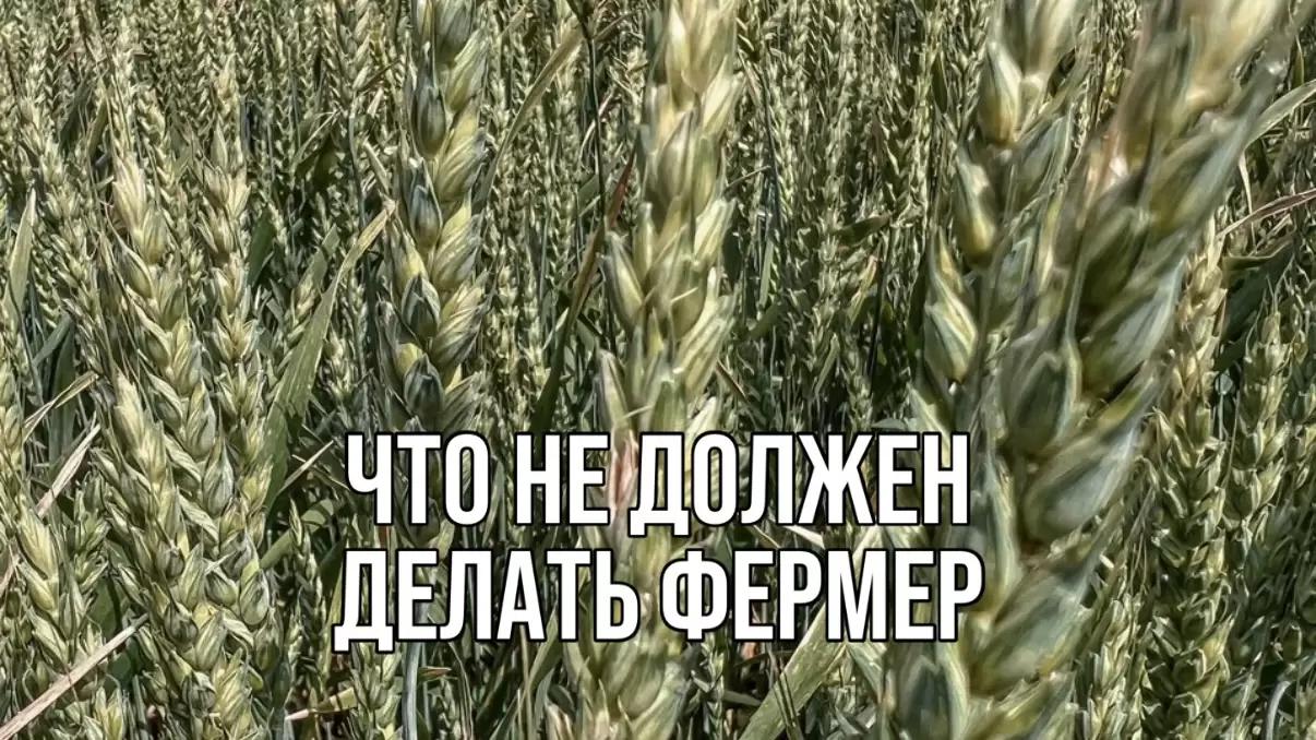 ЧТО НЕ ДОЛЖЕН ДЕЛАТЬ ФЕРМЕР