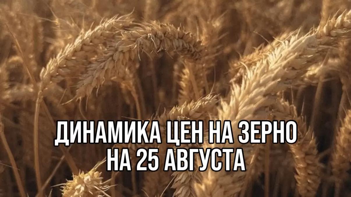 ДИНАМИКА ЦЕН НА ЗЕРНО НА 25 АВГУСТА