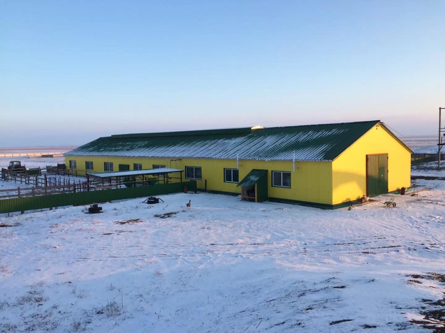 СТРОИТЕЛЬСТВО типового коровника на 50 голов привязного содержания.