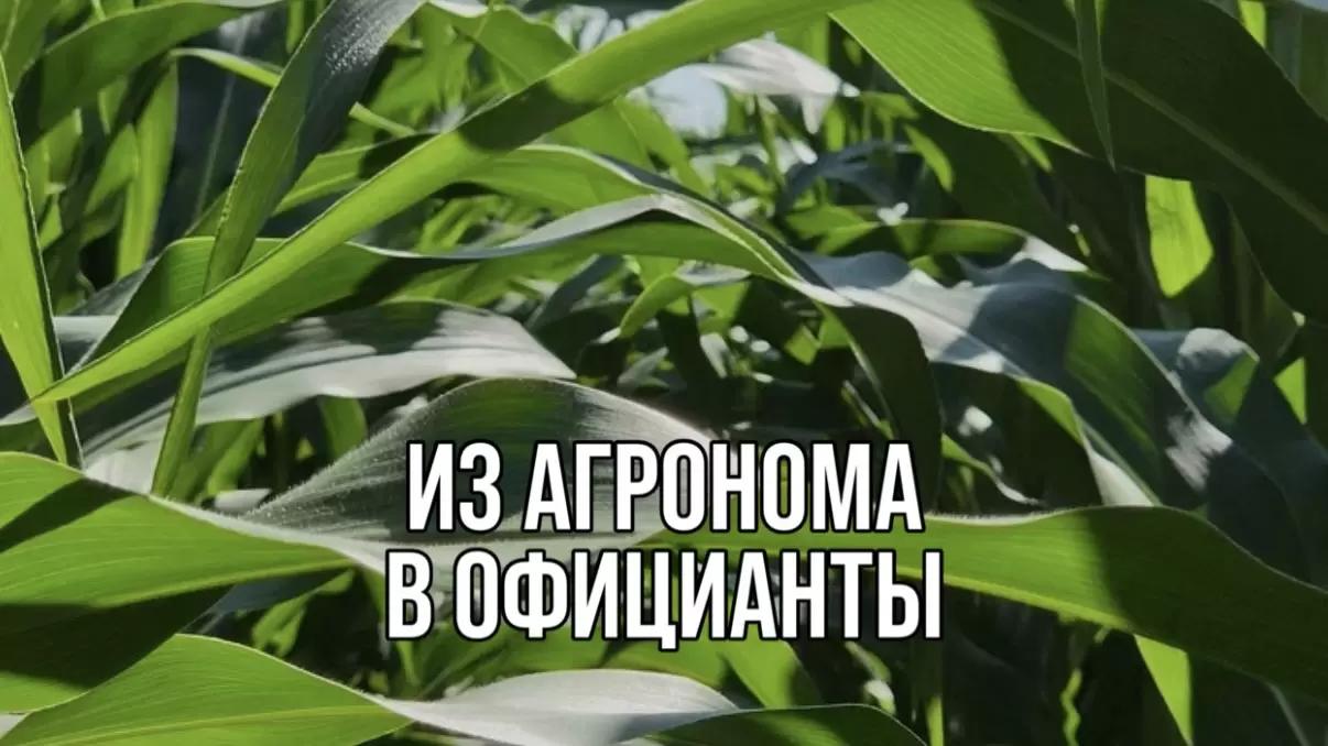 ИЗ АГРОНОМА В ОФИЦИАНТЫ