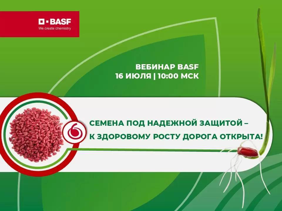 «Семена под надежной защитой – к здоровому росту дорога открыта!» — запись