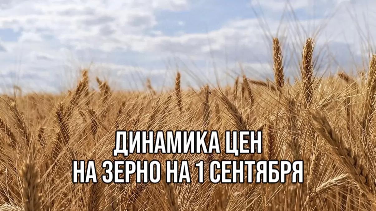 ДИНАМИКА ЦЕН НА ЗЕРНО НА 1 СЕНТЯБРЯ