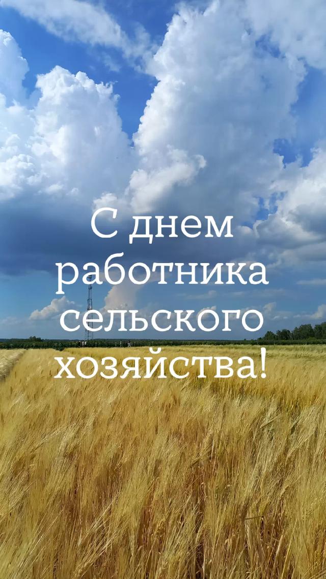 С днём работника сельского хозяйства 🌾🌻🐝
