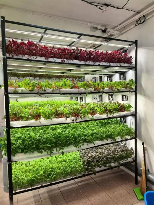 Можно ли получить грант на вертикальную ферму — разбираю все варианты