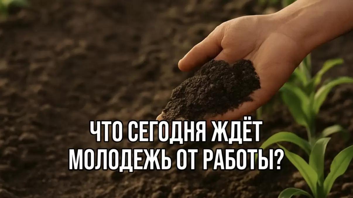 ЧТО СЕГОДНЯ ЖДЕТ МОЛОДЕЖЬ ОТ РАБОТЫ