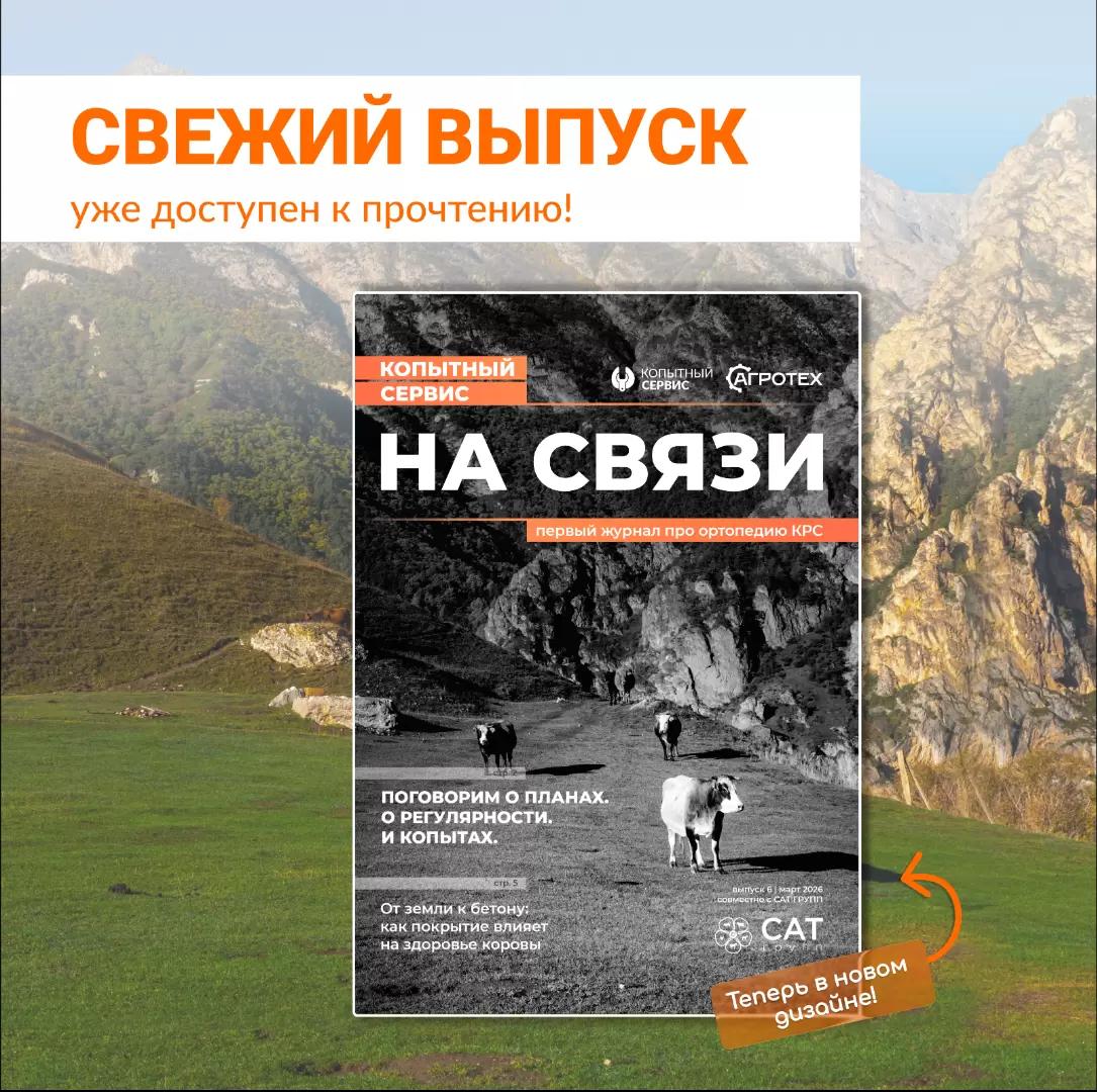 Первый журнал по ОРТОПЕДИИ КРС - Выпуск №6 уже в сети!