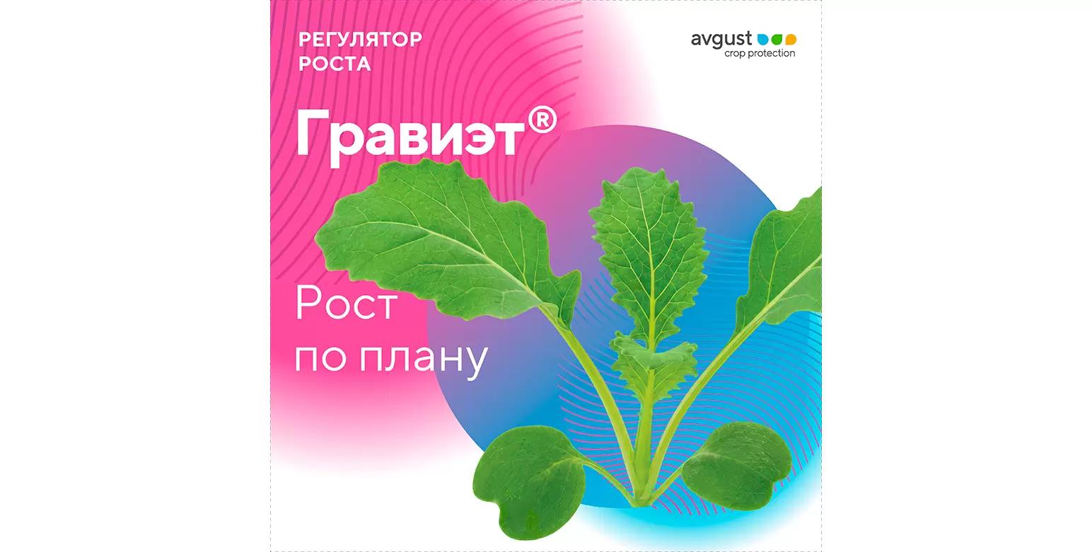 Гравиэт® – новый ретардант для обработки рапса